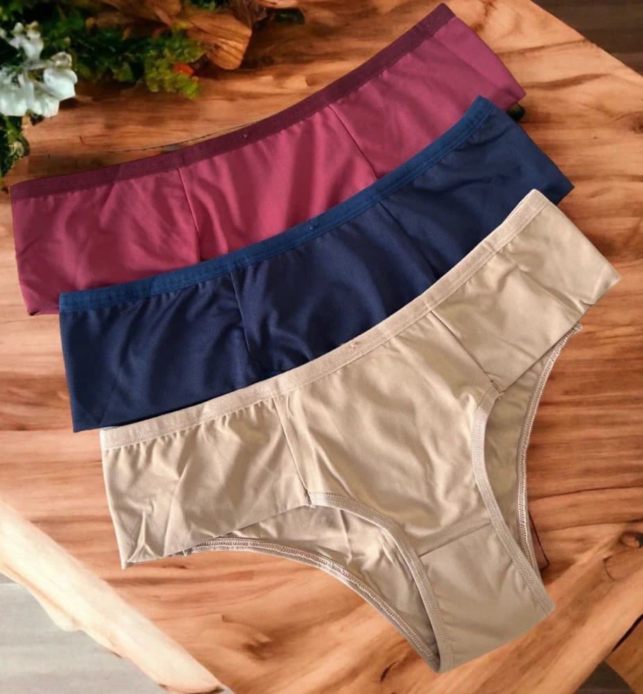 CALCINHA PALA LARGA CLAUDIA 1