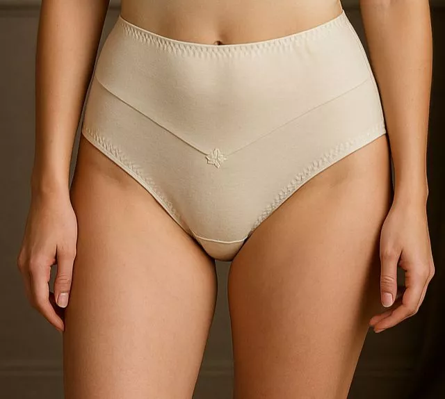 Calcinha Pala alta Joana (não é possível escolher cor - cores variadas)