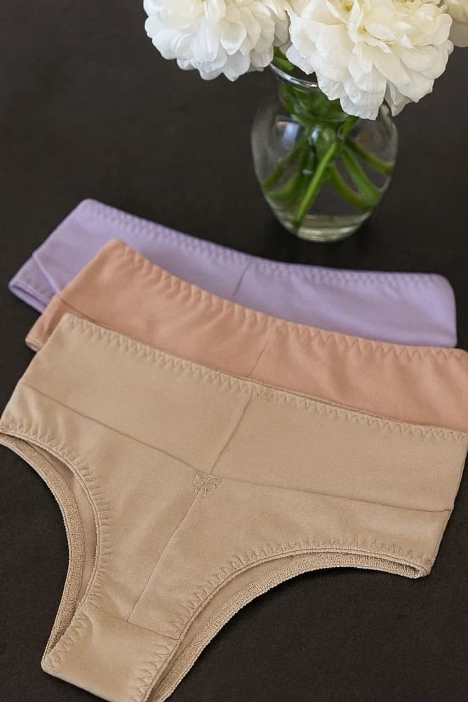 Calcinha Pala alta Joana (não é possível escolher cor - cores variadas) 2