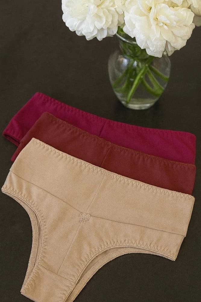 Calcinha Pala alta Joana (não é possível escolher cor - cores variadas) 1