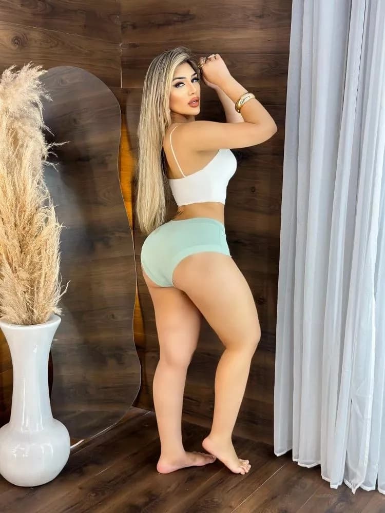 Calcinha Microfibra Alice (não é possível escolher cor - cores variadas) 2