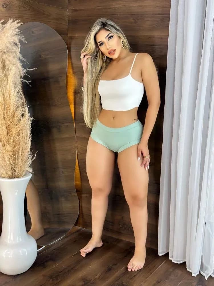 Calcinha Microfibra Alice (não é possível escolher cor - cores variadas) 1