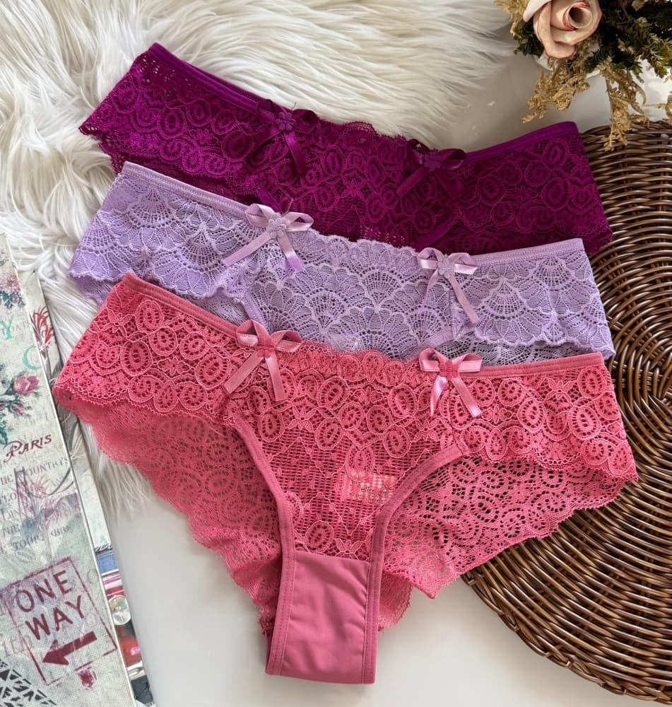 CALCINHA RENDINHA ELIANE (não é possível escolher cor - cores variadas) 2